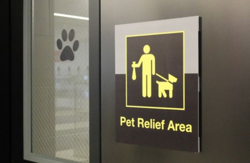 В аэропортах обустроят туалет для животных