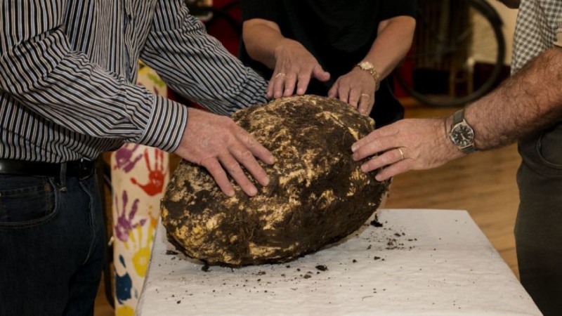 Археологи предлагают сделать доисторический бутерброд