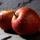 В Канаде человеческое ухо вырастили в яблоке