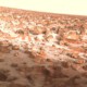 Илон Маск готов отправить миллион человек на Марс