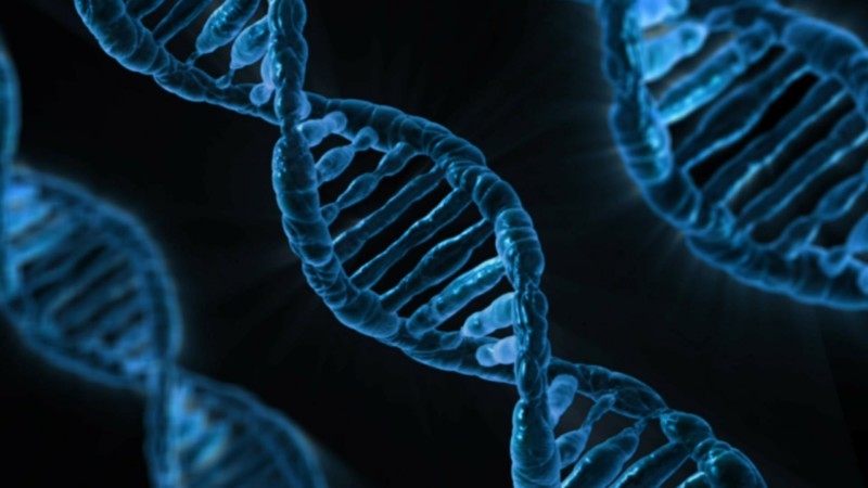 «Шестое чувство» записано в ДНК людей