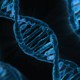 «Шестое чувство» записано в ДНК людей