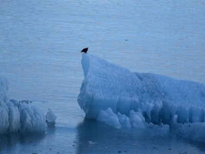 Двигать айсберги для российских ледоколов — не проблема