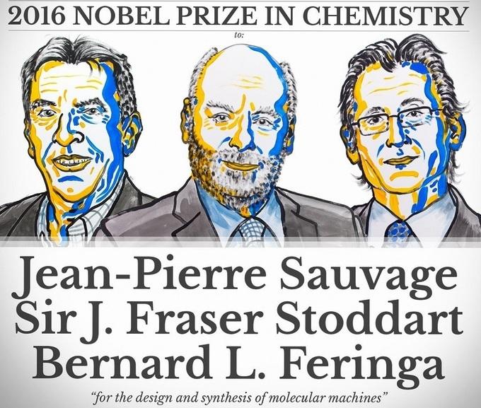 Нобелевскую премию по химии присудили за контролируемые молекулы