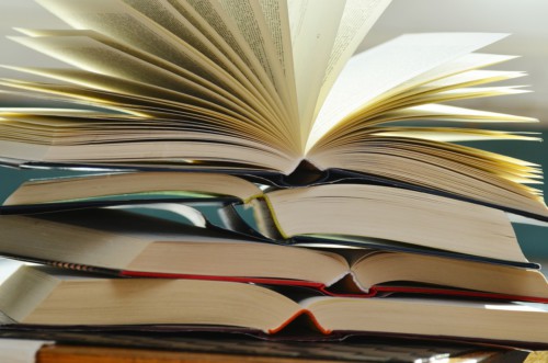 Составлен список лучших книг 2016 года