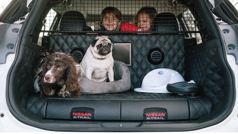 Nissan выпустил автомобиль для собак