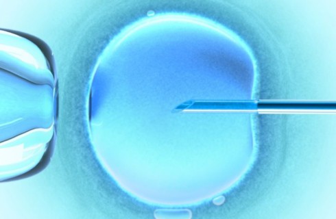 Скоро родятся дети с ДНК от 3 людей