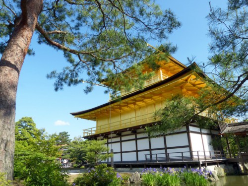Пять вещей, которые нужно знать о Киото