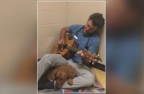 Ветеринар успокаивает пациентов песней