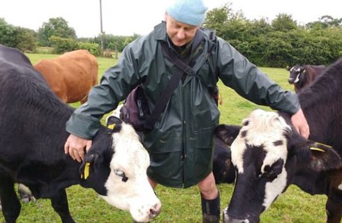 Фермер-вегетарианец отправил коров на отдых