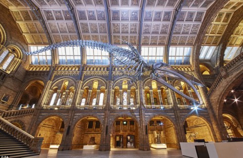 Музей естествознания в Лондоне агитирует за любовь к живому миру
