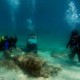 Подводный мир рассказал о древних цунами