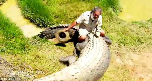 Настоящий Крокодил Данди живет в Австралии