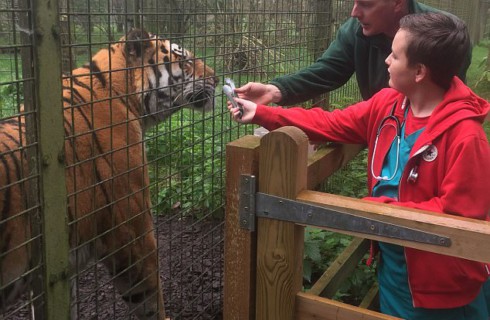 Больной мальчик получил шанс на выздоровление после зоопарка
