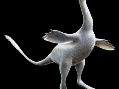 3D-модель Halszkaraptor escuilliei
