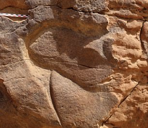 Наскальный верблюд в пустыне Саудовской Аравии
