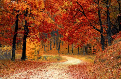 Топ-5 лучших мест, где можно насладиться осенью в парках