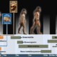 Ученые нашли нового предка человека